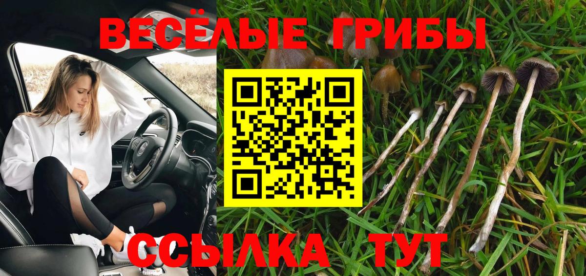 Псилоцибиновые грибы ЛСД  Вход с VPN  Галлюциногенные грибы Psilocybine cubensis  Красноармейск 